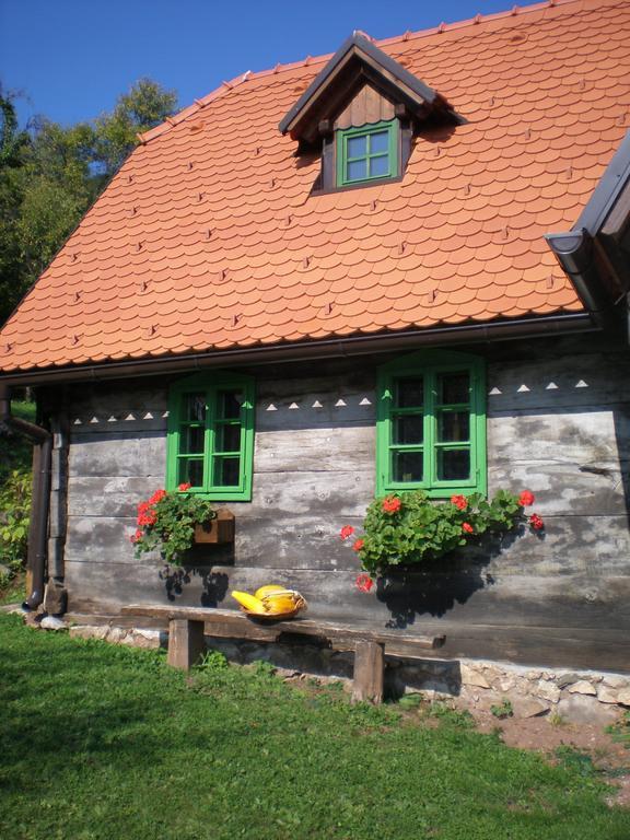Apartmani Etno Kuca Pod Okicem 萨莫博尔 客房 照片