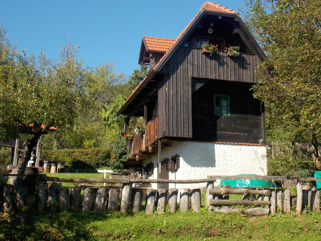 Apartmani Etno Kuca Pod Okicem 萨莫博尔 客房 照片