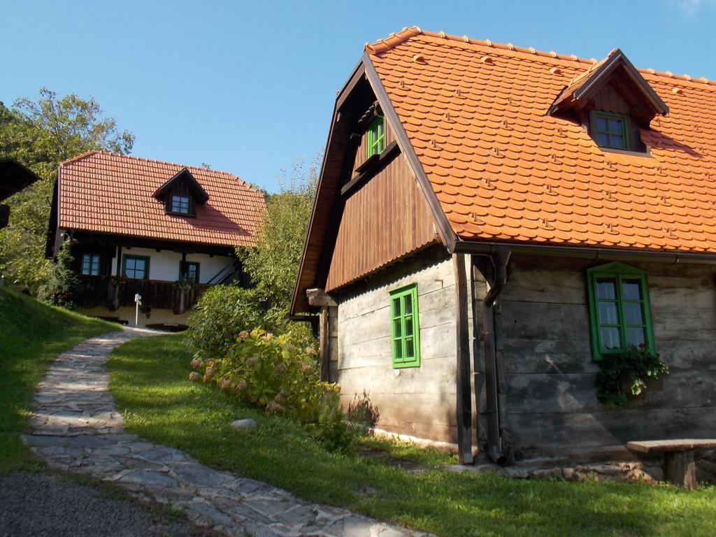 Apartmani Etno Kuca Pod Okicem 萨莫博尔 客房 照片